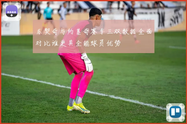 东契奇与约基奇赛季三双数据全面对比谁更具全能球员优势