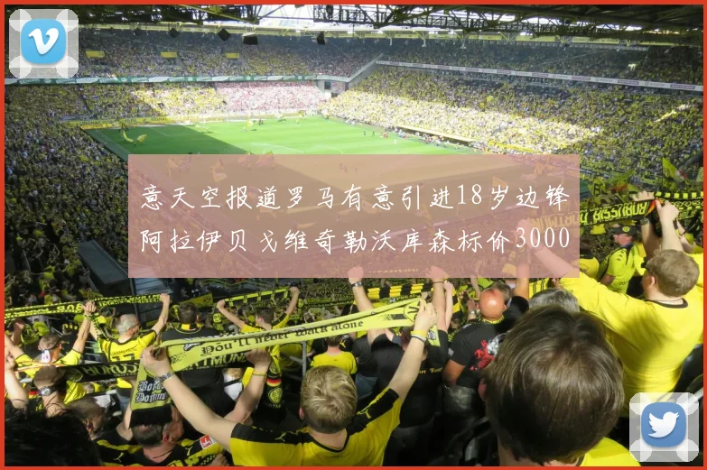 意天空报道罗马有意引进18岁边锋阿拉伊贝戈维奇勒沃库森标价3000万欧元